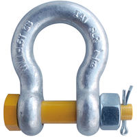 1 G2140 Grade 80 HDG Alloy Anchor Shackle Clevis Bolt Nut [213025 ...