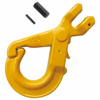 Grade 80 Alloy Hooks : Yellow Lifting & Hardware LLC, Lifting and Rigging  Hardware Supplier